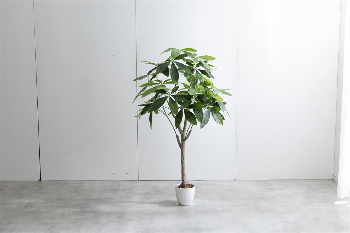 観葉植物・フェイクグリーンで作るおしゃれなインテリア空間
