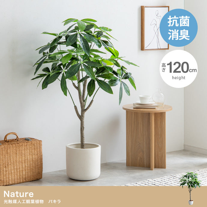 高さ120cm】光触媒人工観葉植物 パキラ – マールマン 世界の雑貨店