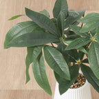 Fake Green Pachira in Ceramic Pot