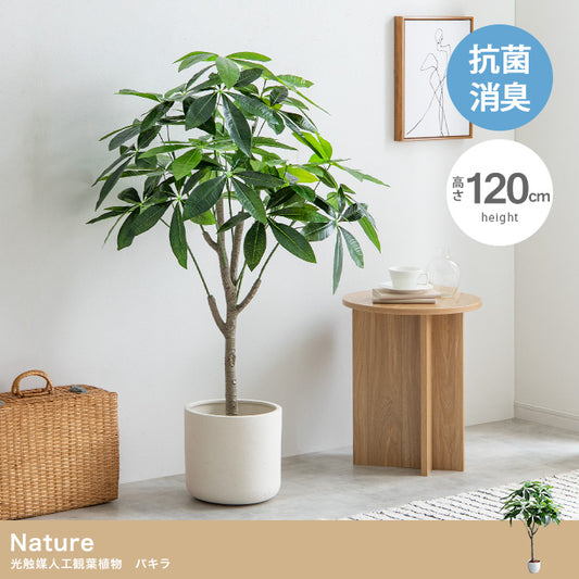 【高さ120cm】光触媒人工観葉植物 パキラ