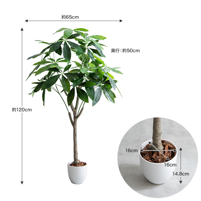 【高さ120cm】光触媒人工観葉植物 パキラ