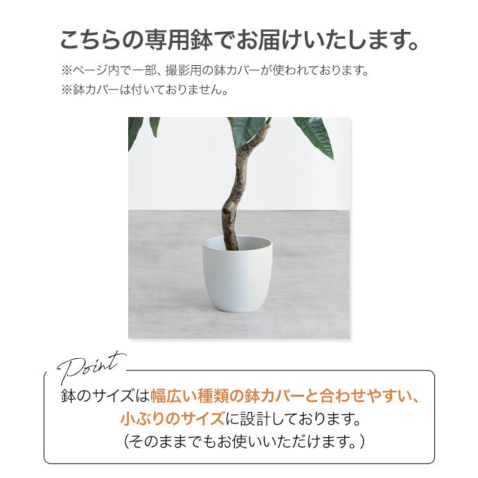 【高さ120cm】光触媒人工観葉植物 パキラ