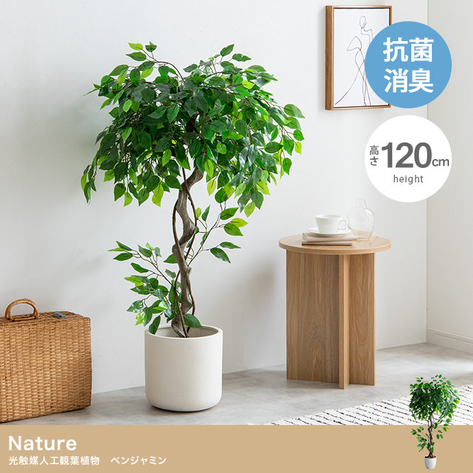 高さ120cm】光触媒人工観葉植物 ベンジャミン – マールマン 世界の雑貨店