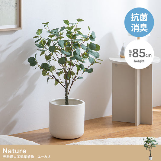 【高さ85cm】光触媒人工観葉植物 ユーカリ