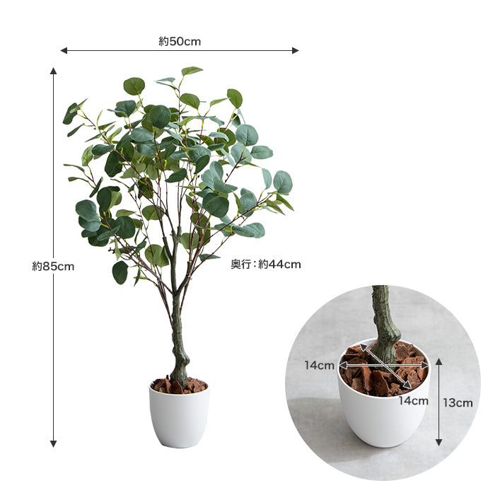 【高さ85cm】光触媒人工観葉植物 ユーカリ