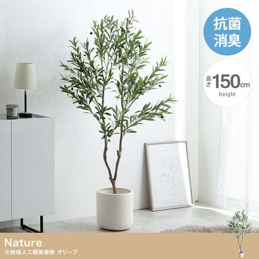 【高さ150cm】光触媒人工観葉植物 オリーブ