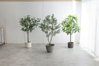 【高さ150cm】光触媒人工観葉植物 オリーブ