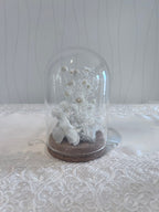 プリザーブドフラワー 小瓶アレンジ